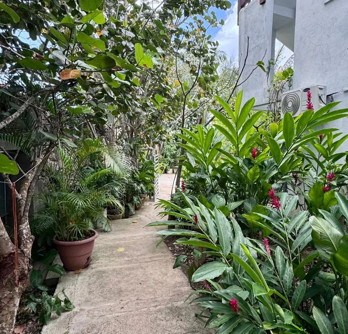 Artgarden Juan Dolio Apartman Juan Pedro Dominikai Köztársaság